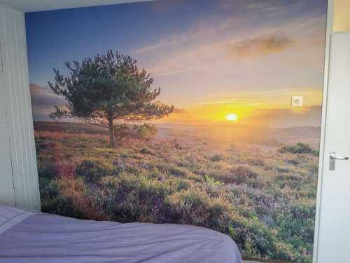 Sunset on the heath