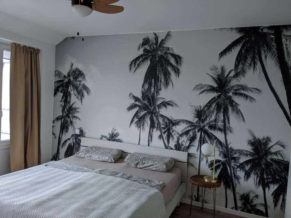 Palm trees in black and white