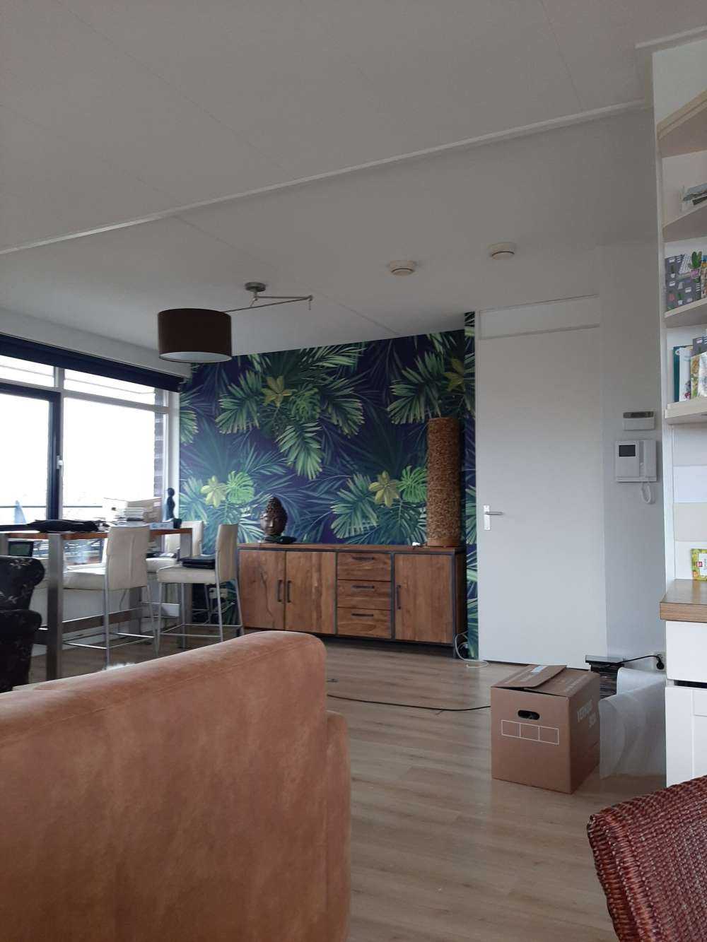 Beautiful green leaves