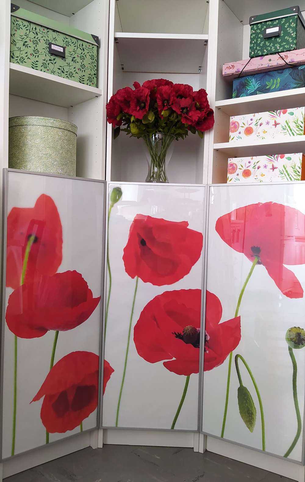Poppies on white background