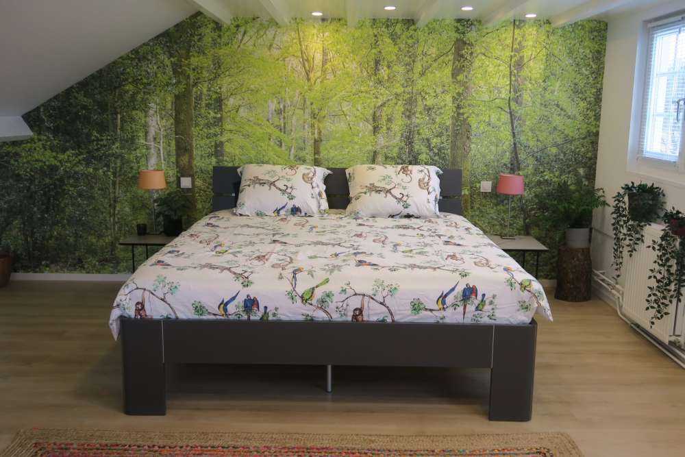 the green forest