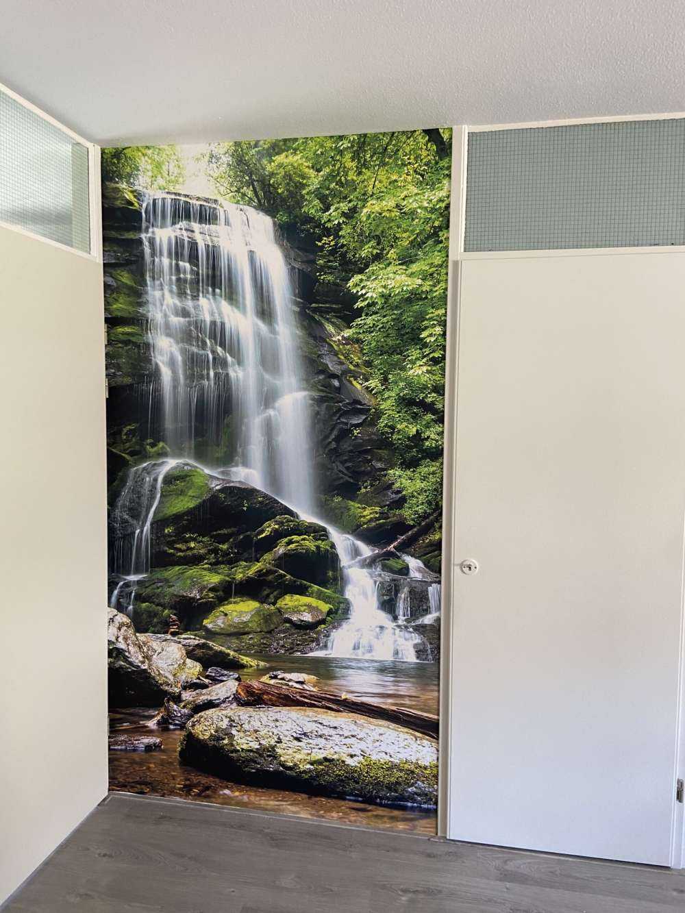 Jungle waterfall