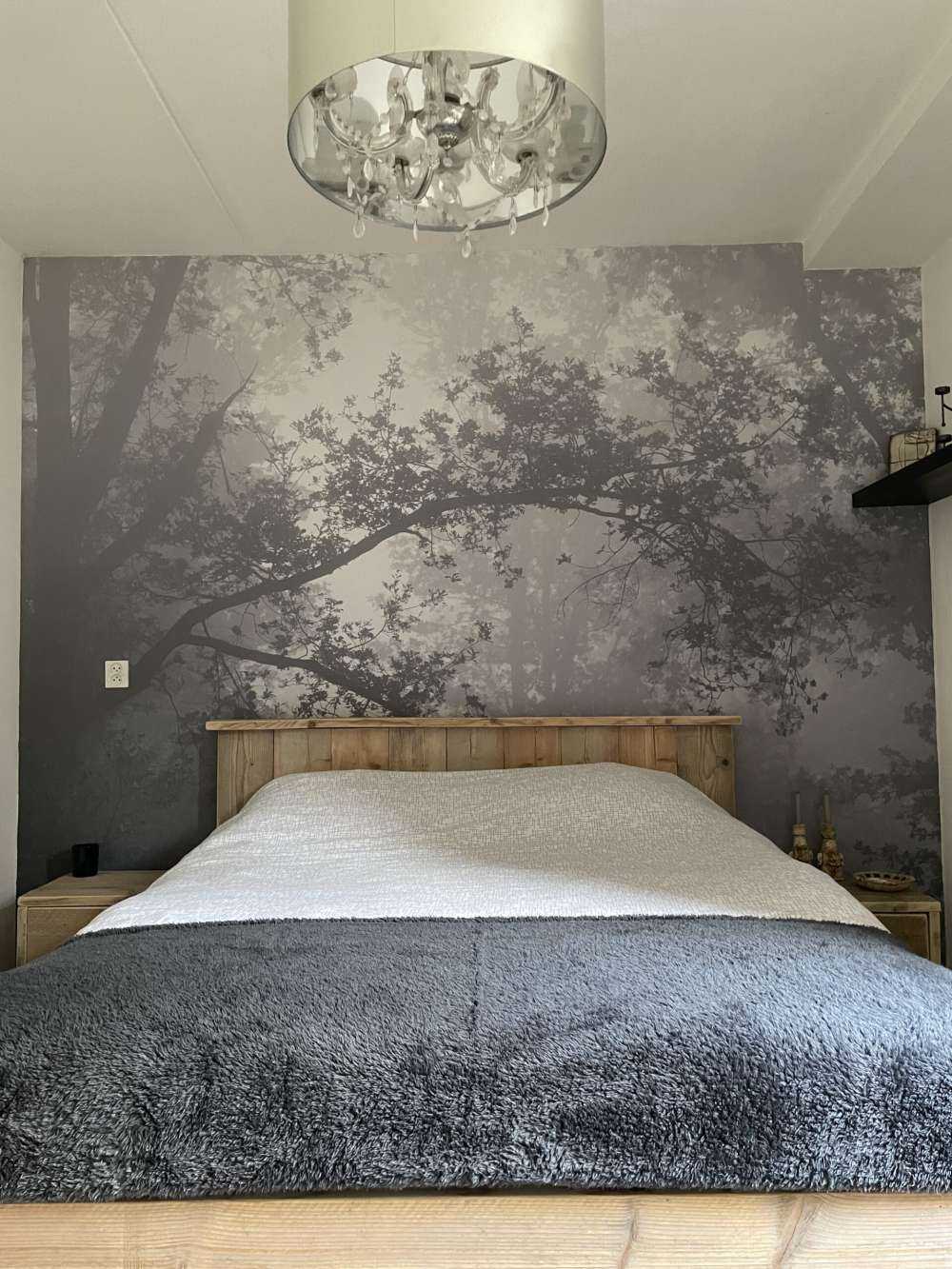 Beautiful forest in the fog