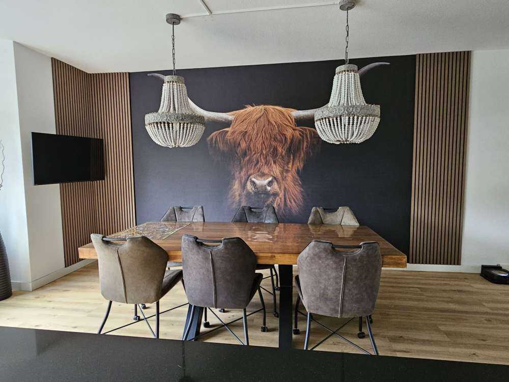 Scottish Highlander on dark background