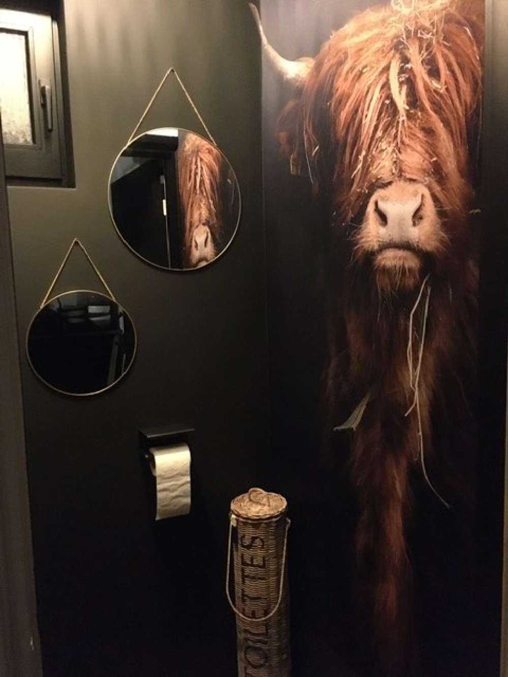 Portrait&#x20;Scottish&#x20;Highlander