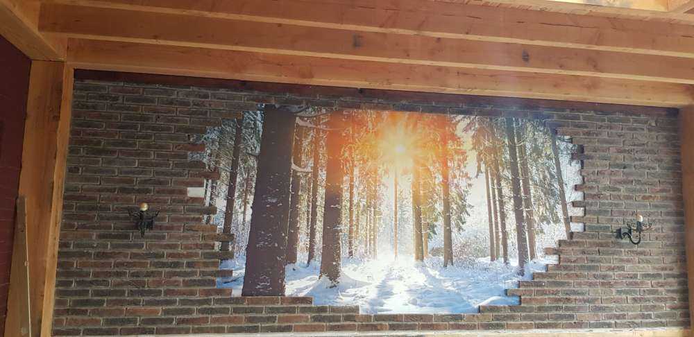 Sunlight in winter forest