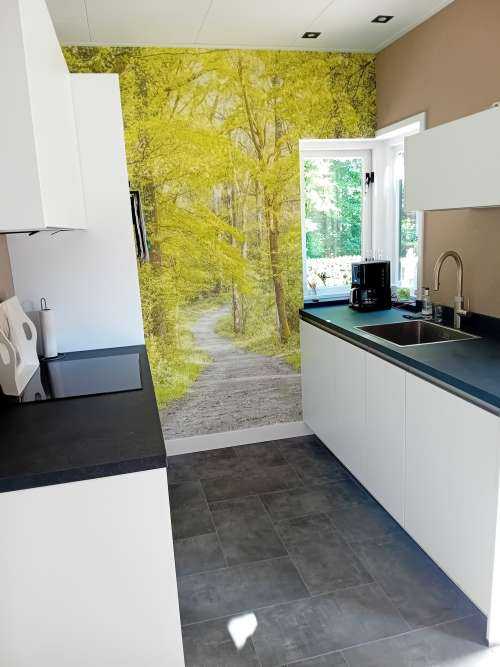 the green forest