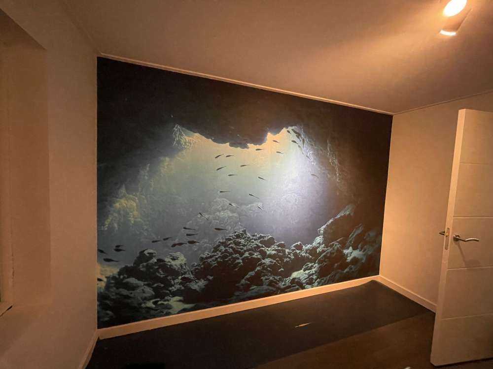 Underwater cave with fish