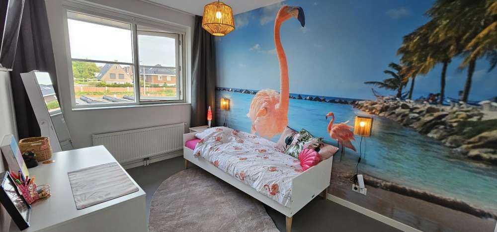 Flamingo on the beach