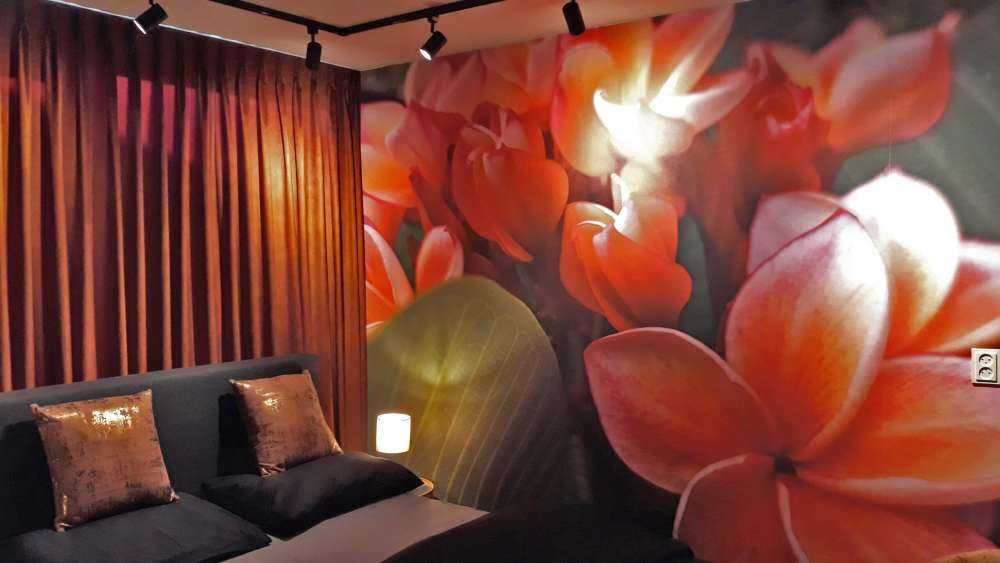 Tropical Flowers