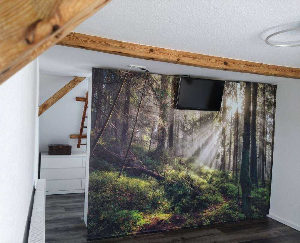 Autumn forest with sunshine