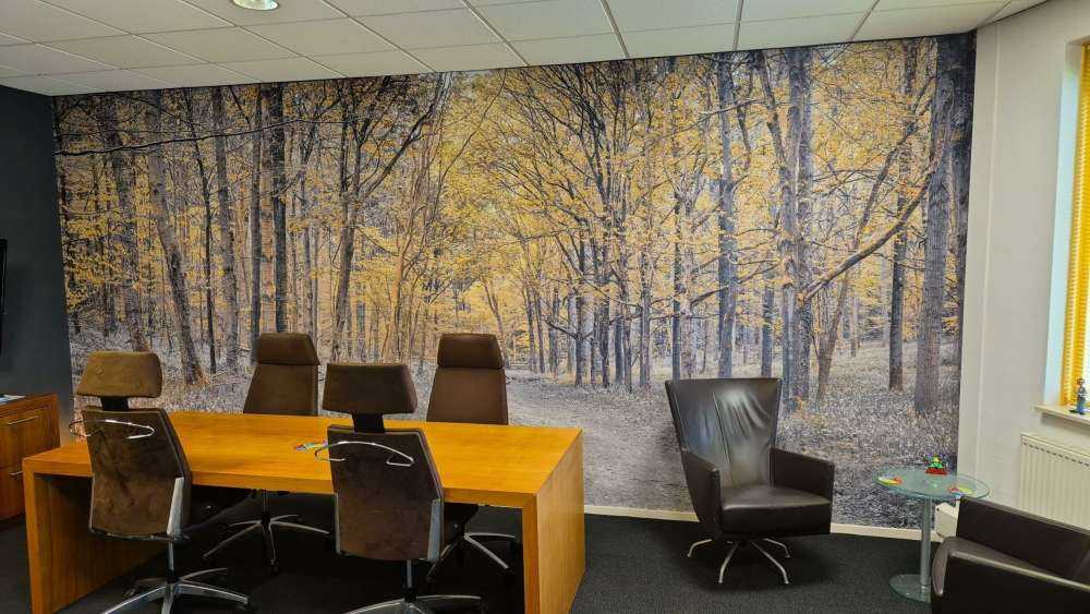 Forest road during autumn