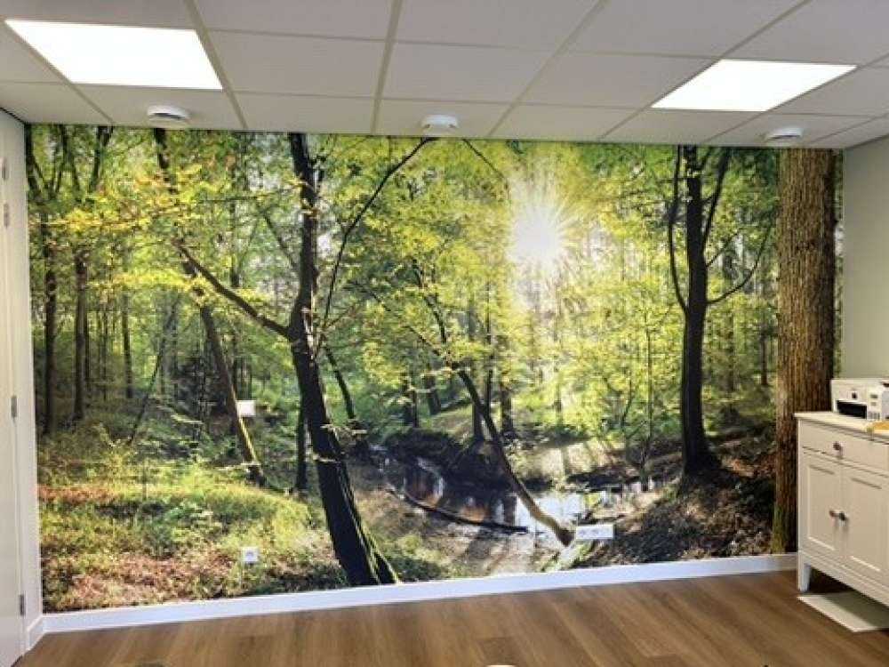 Forest with brook