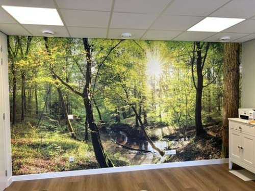 Forest with brook