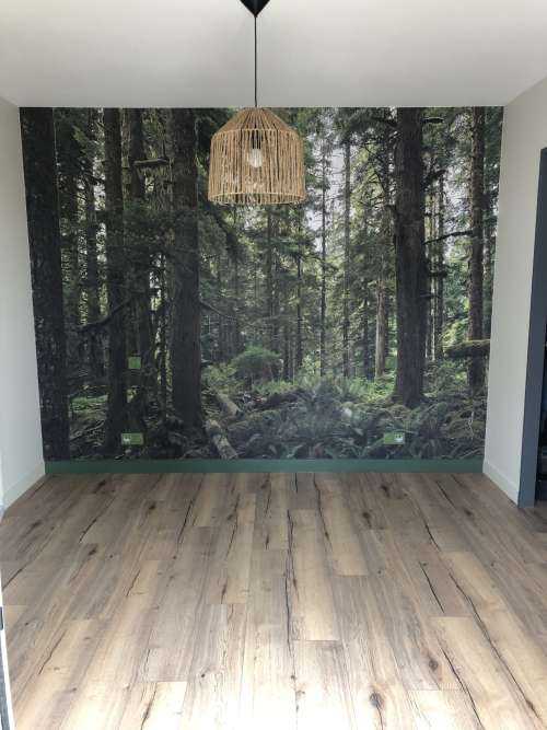 Wild forest