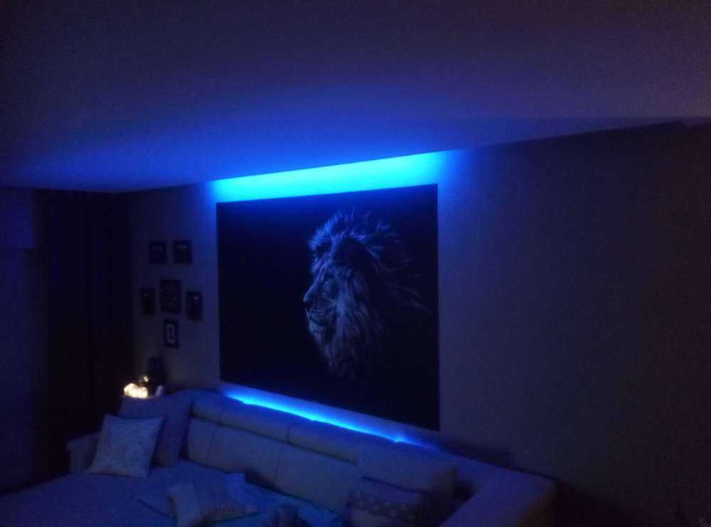 Lion with blue eyes