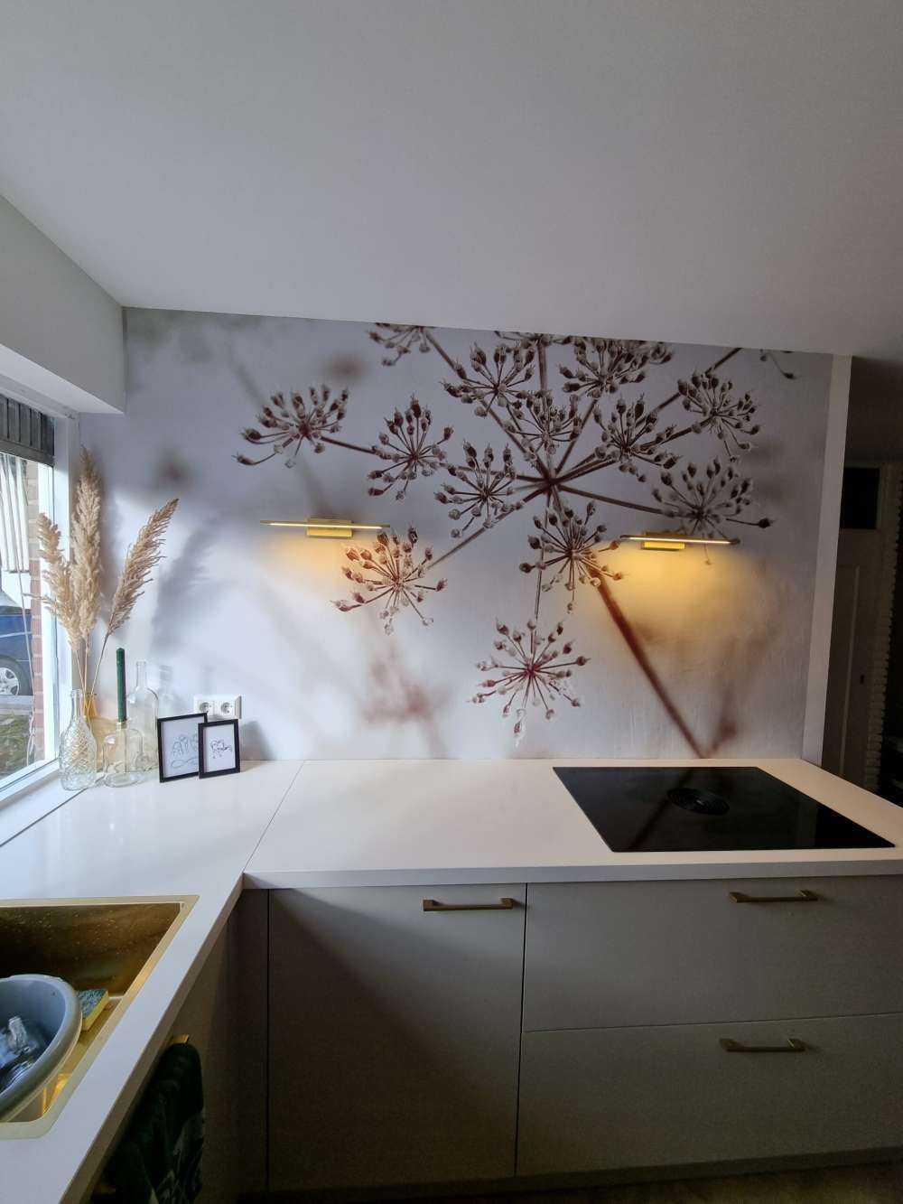 Close-up cow parsley