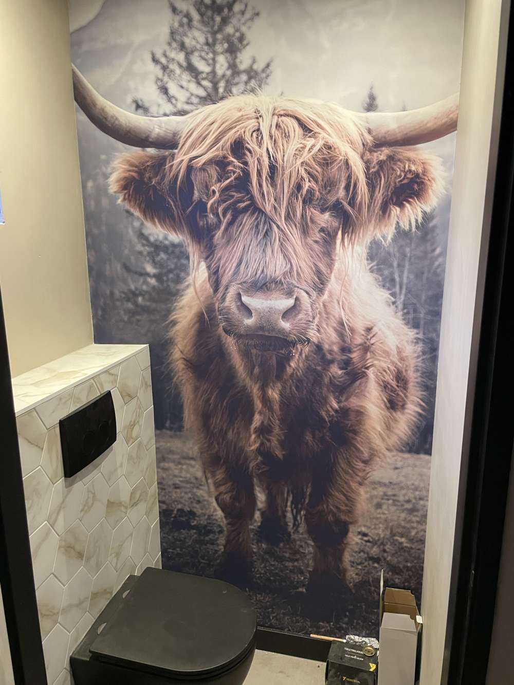 Scottish Highlander by the forest