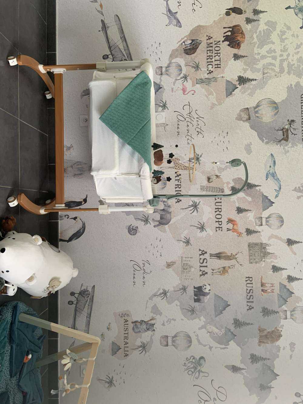 World map with different animals