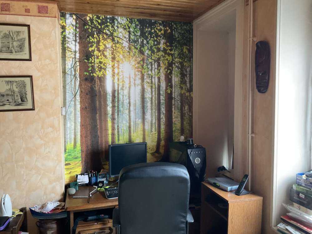 Sunrise in the forest