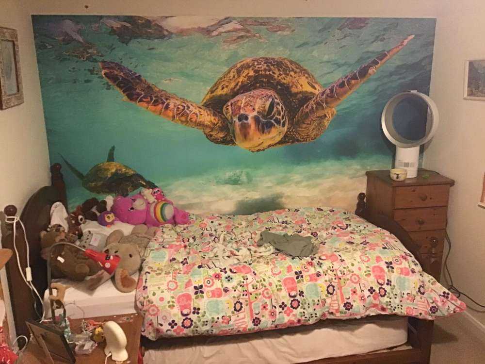 Sea turtle in the ocean