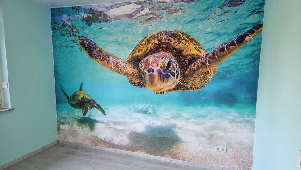 Sea turtle in the ocean