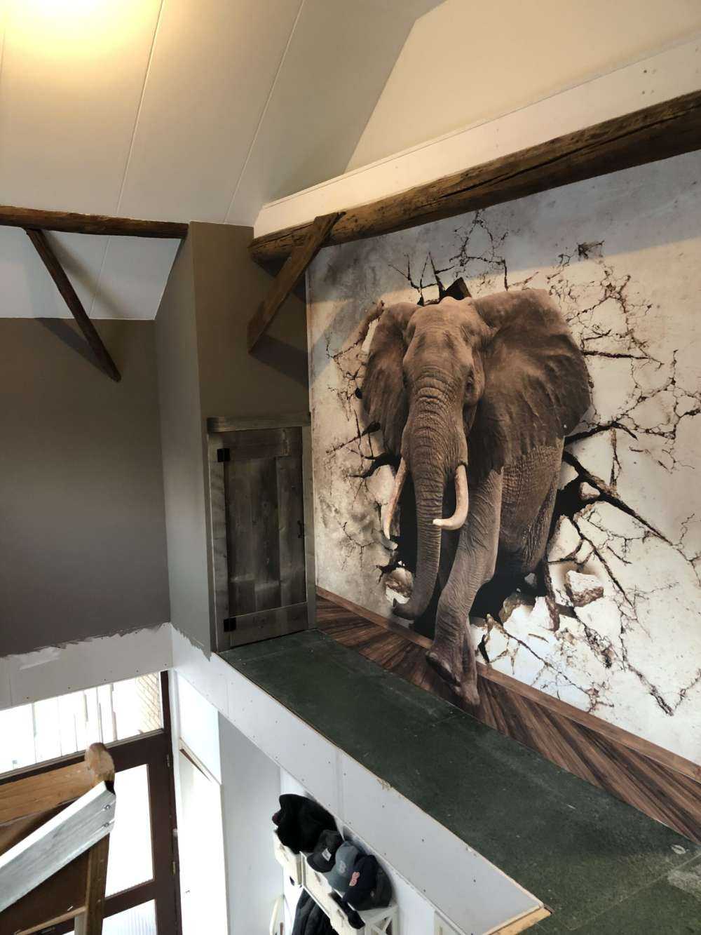 Big elephant out of the wall