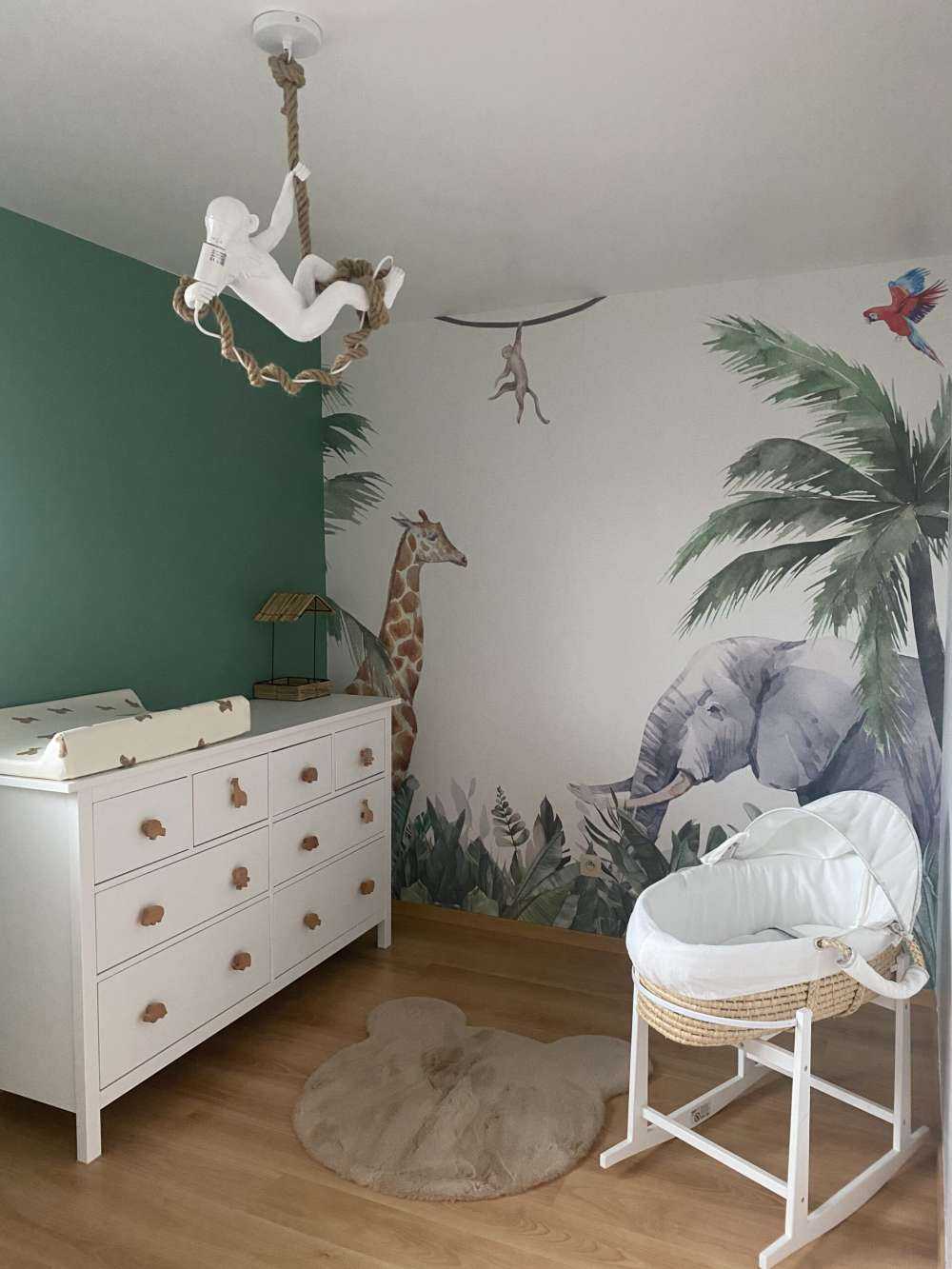 Colorful jungle animals