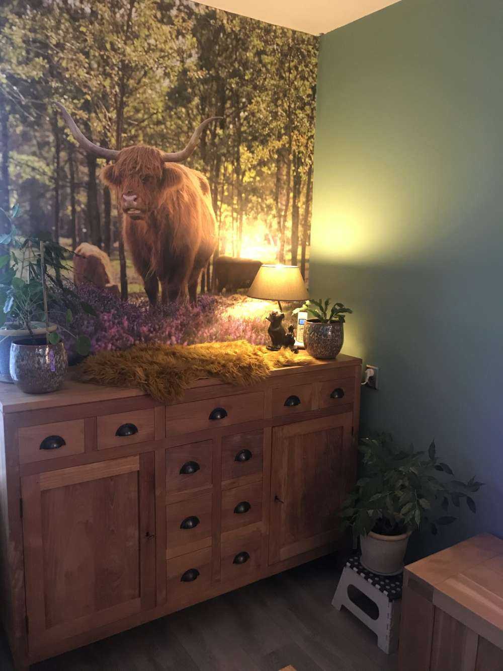 Highlanders in nature reserve