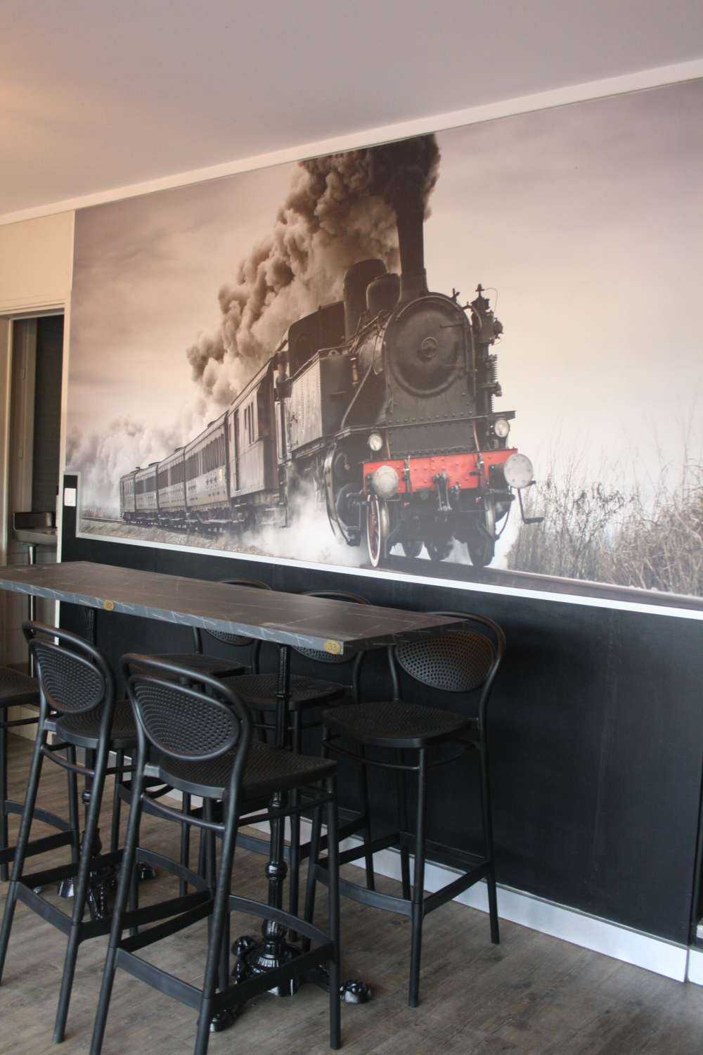 Alpacas between cacti