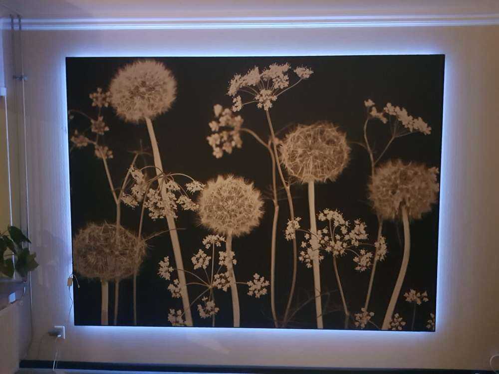 Meadow fantasy