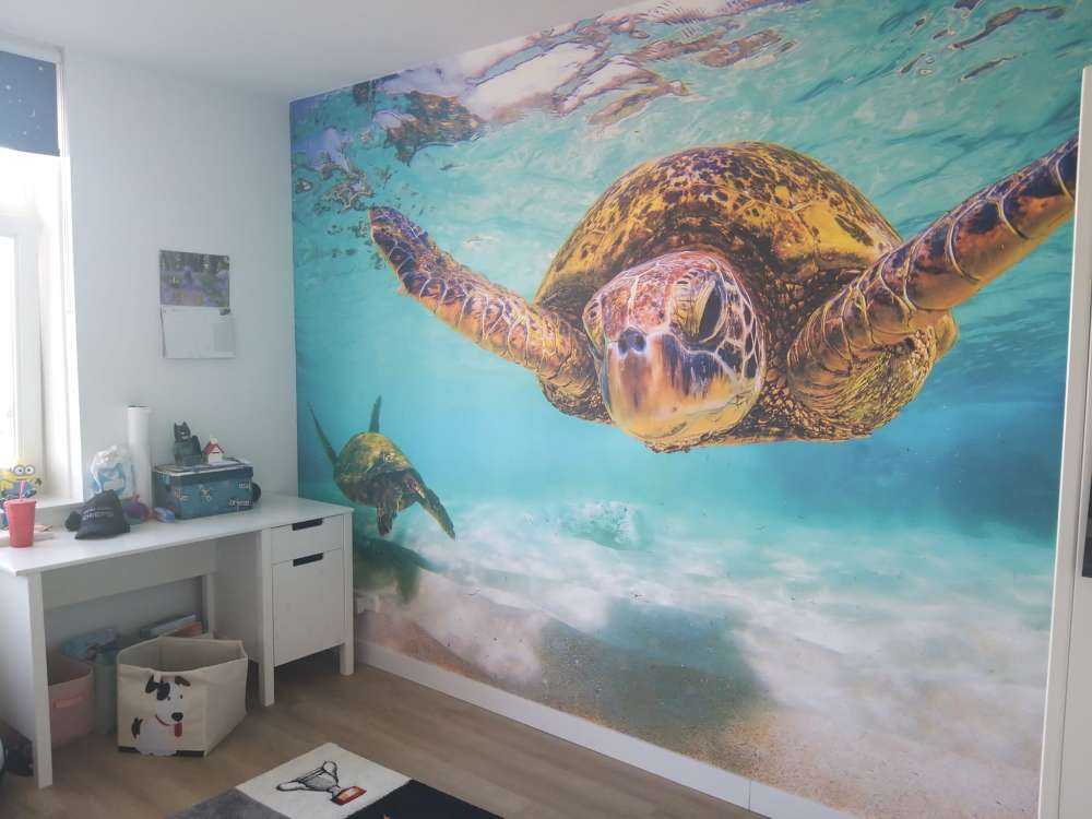 Sea turtle in the ocean