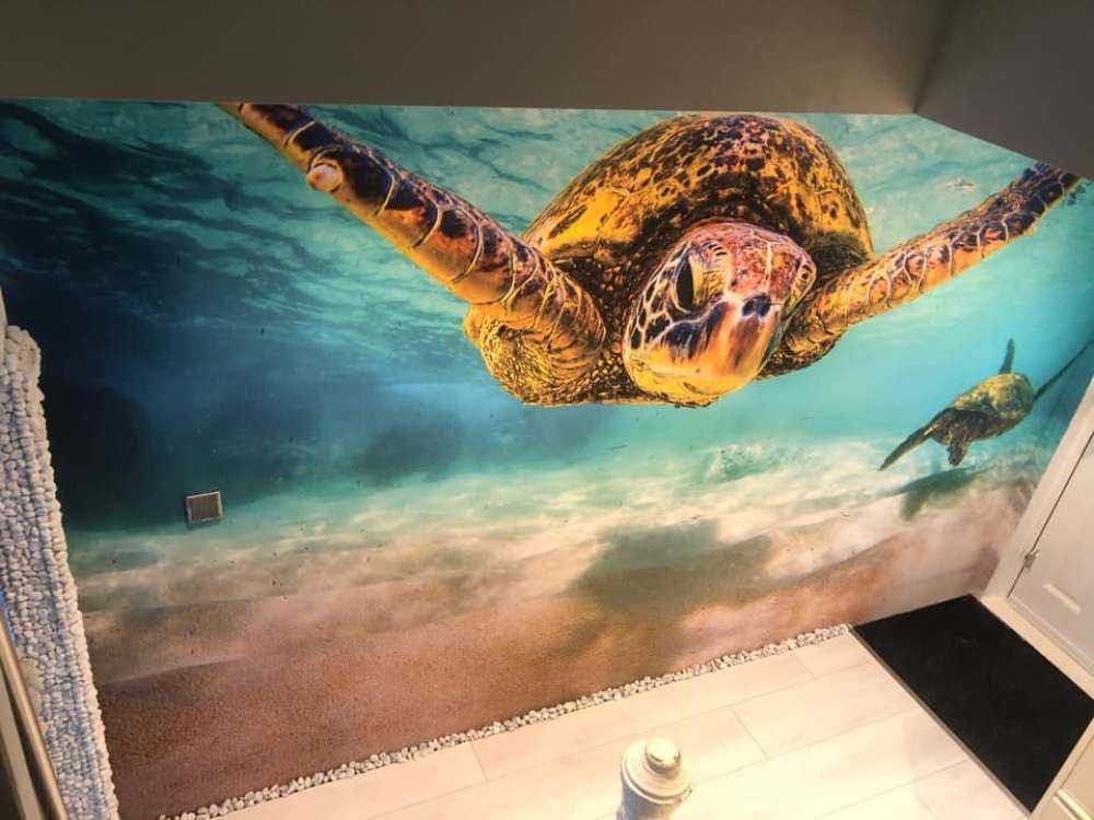 Sea turtle in the ocean