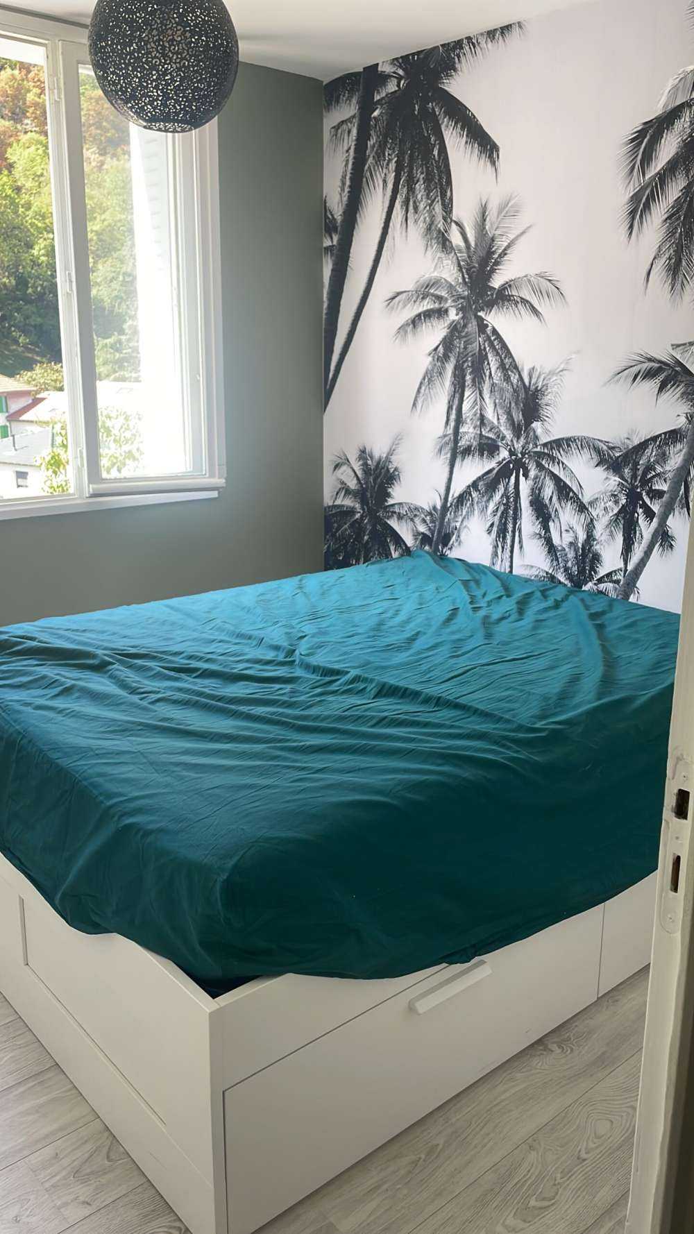 Palm trees in black and white