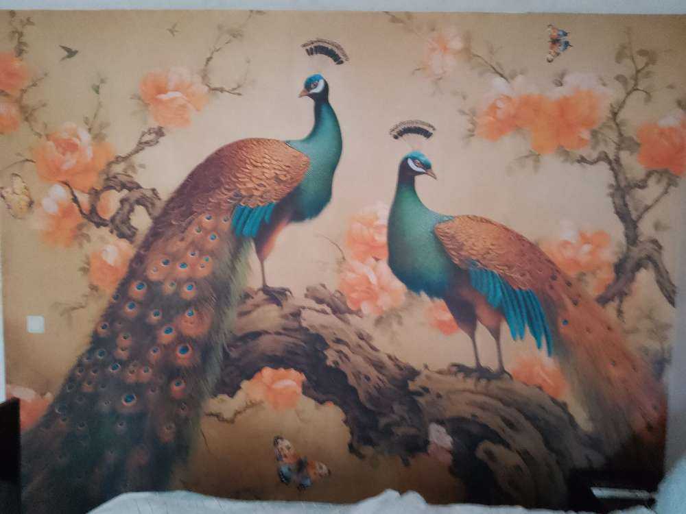 Peacock Dance in Blossom Glow