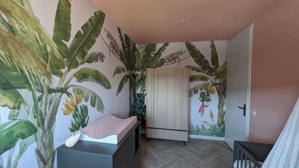 Jungle with colourful animals