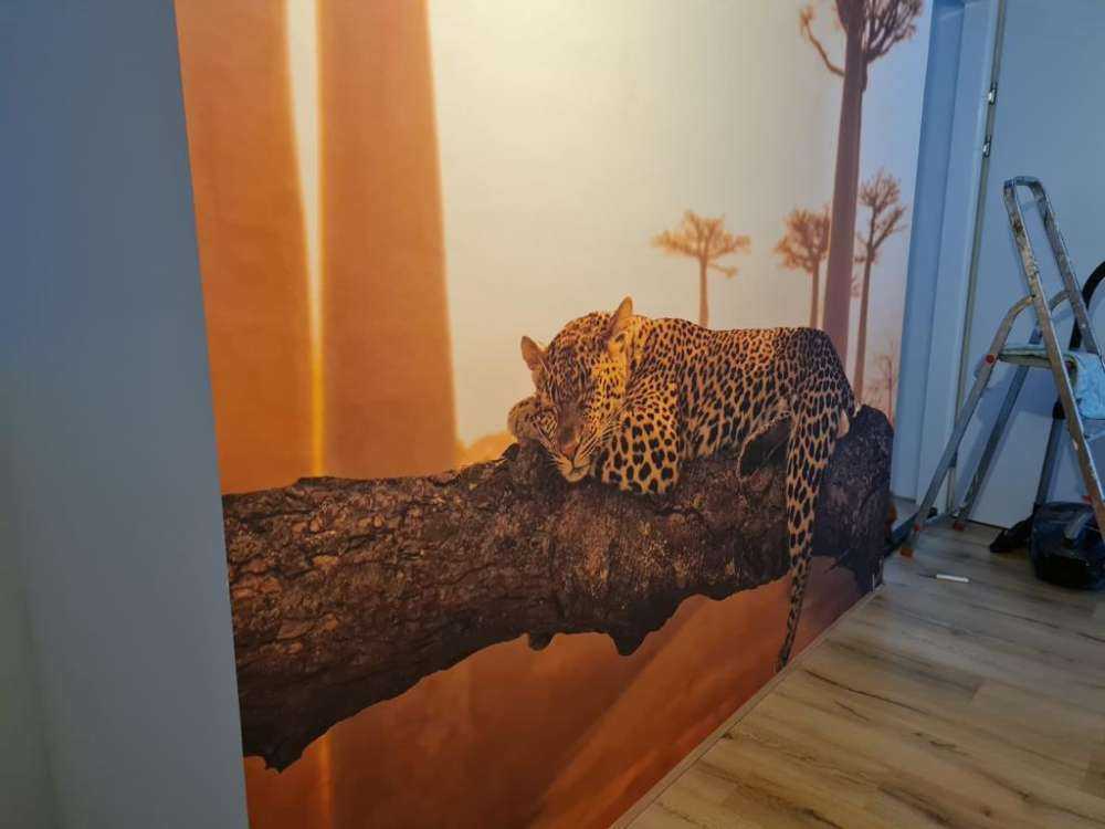 Sleeping leopard