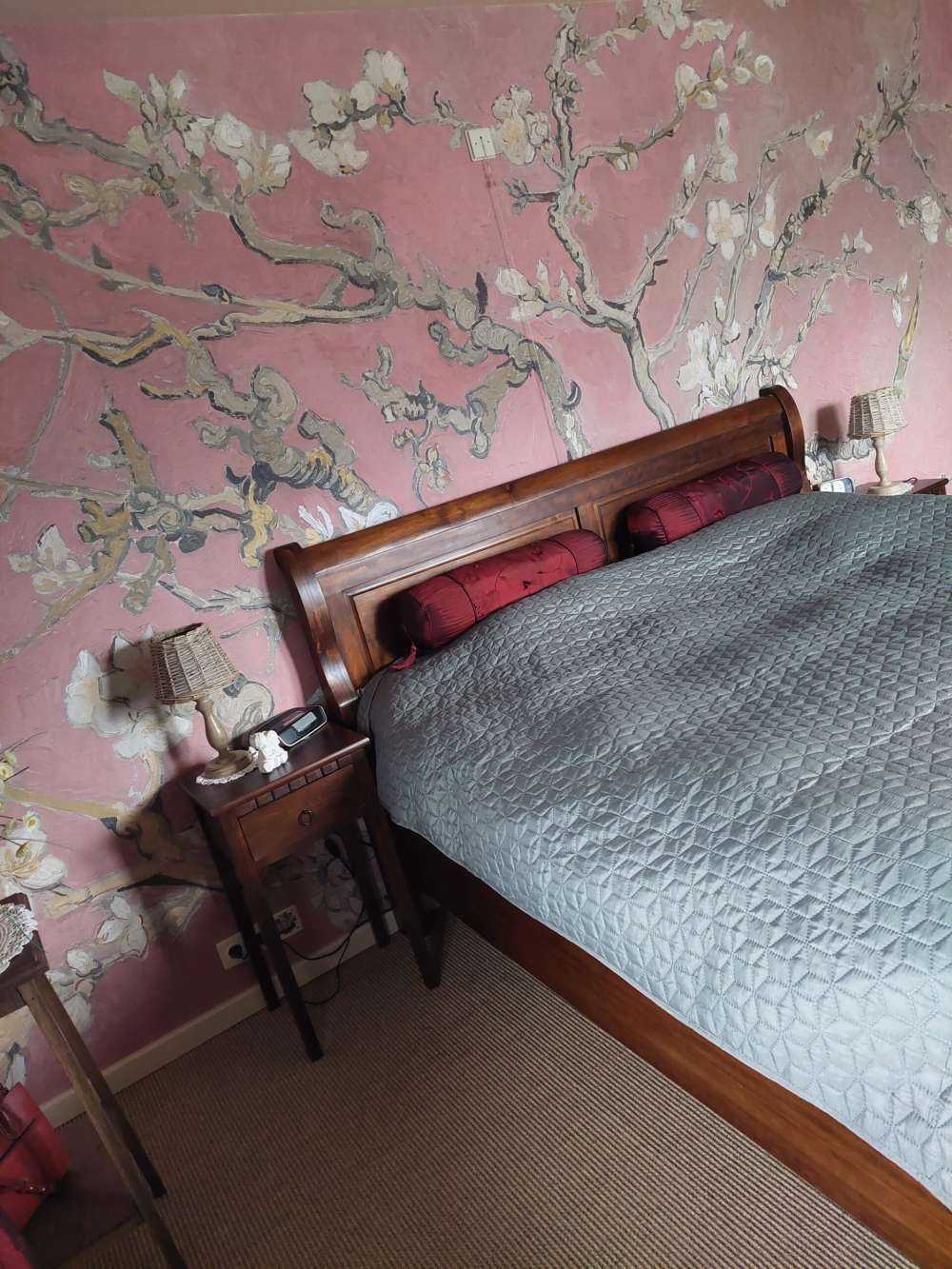 Colourful Almond Blossom