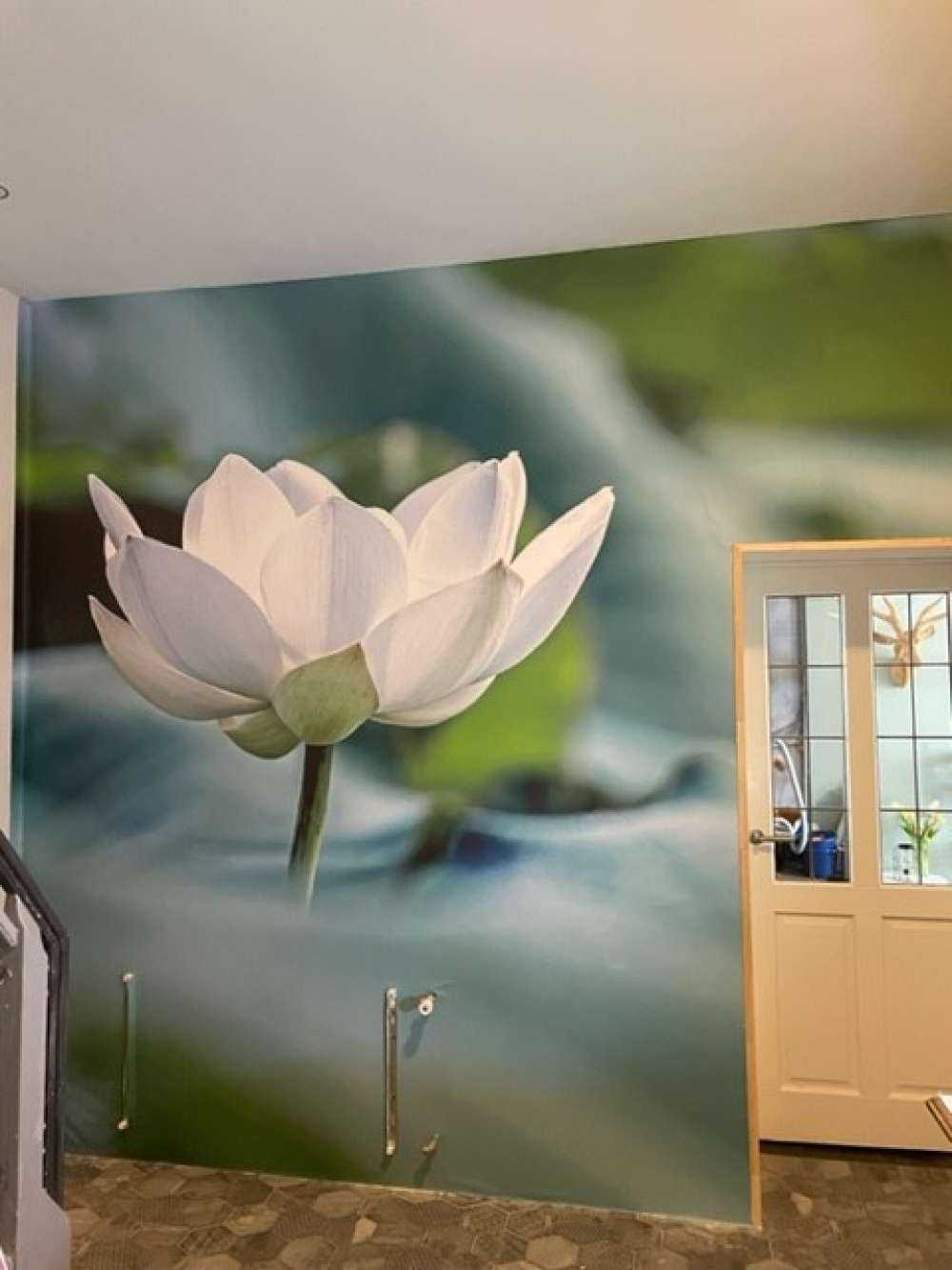 White lotus flower