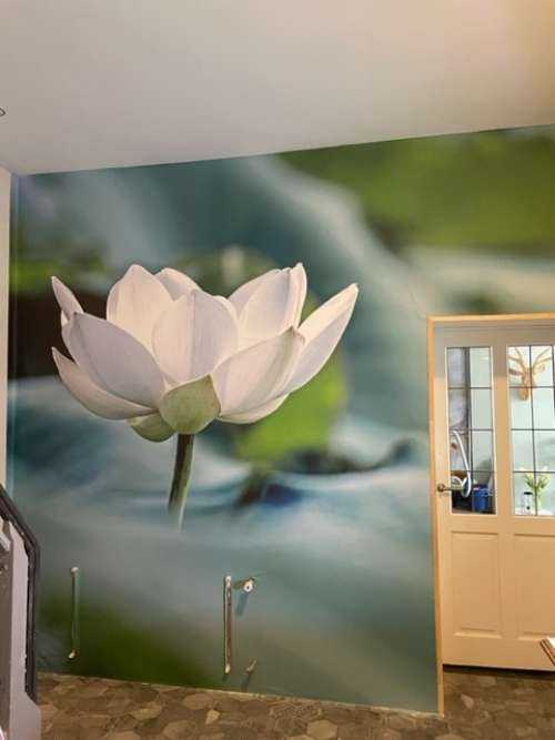 White lotus flower