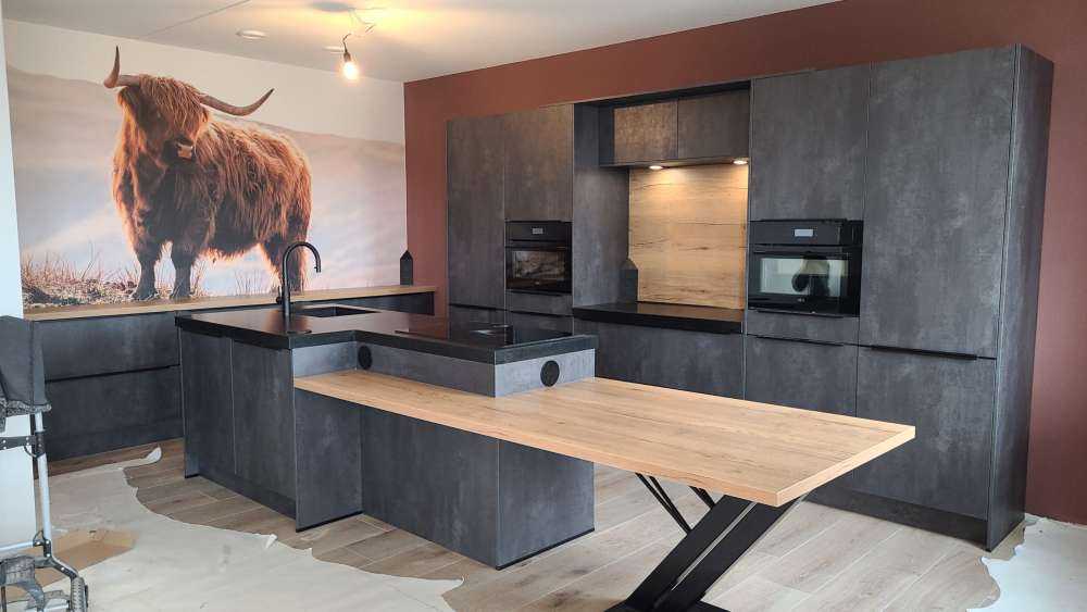 Scottish highlander on a hill