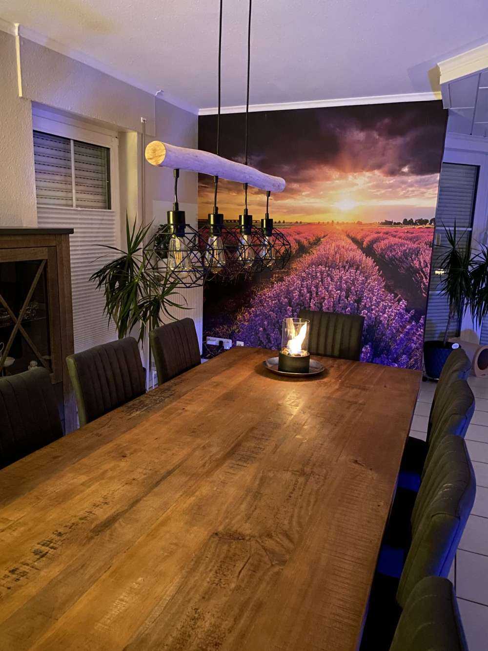 Field full with lavender