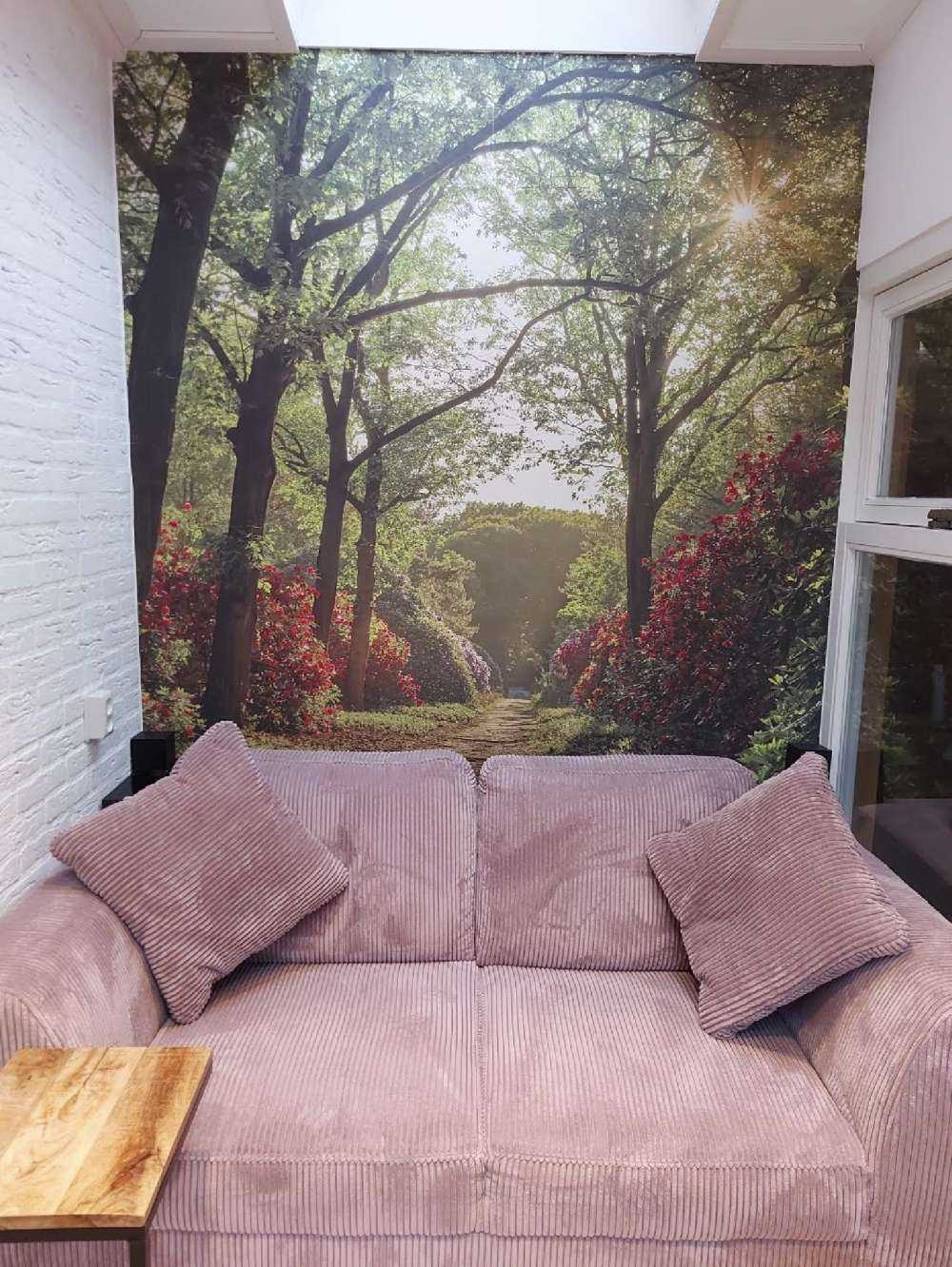 Sunrise at path with rhododendrons