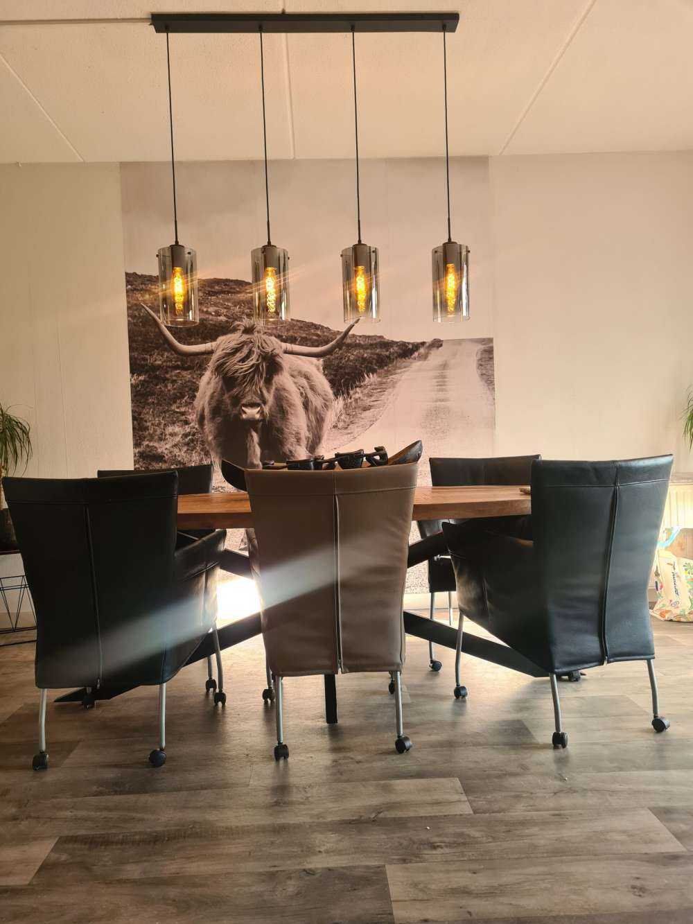 Scottish Highlander on a road