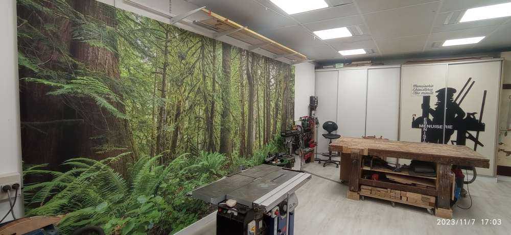 Path with stones through the forest