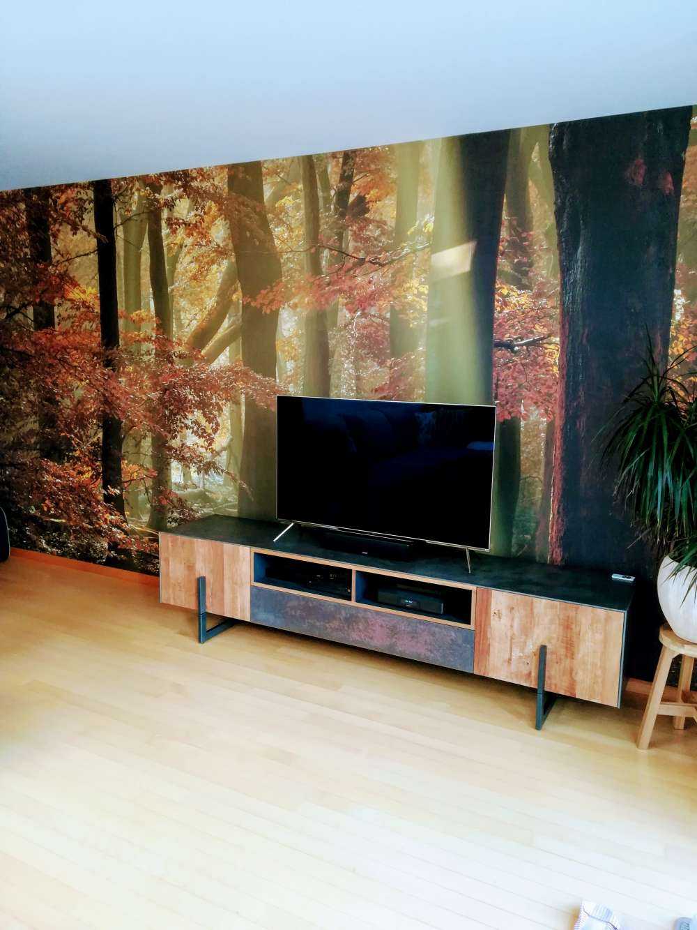 Autumn colours in the forest