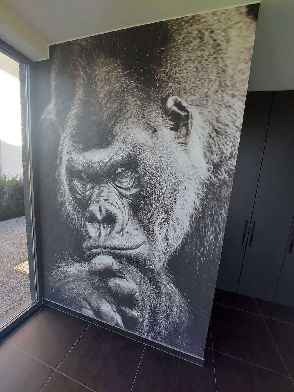 Close-up picture of a gorilla