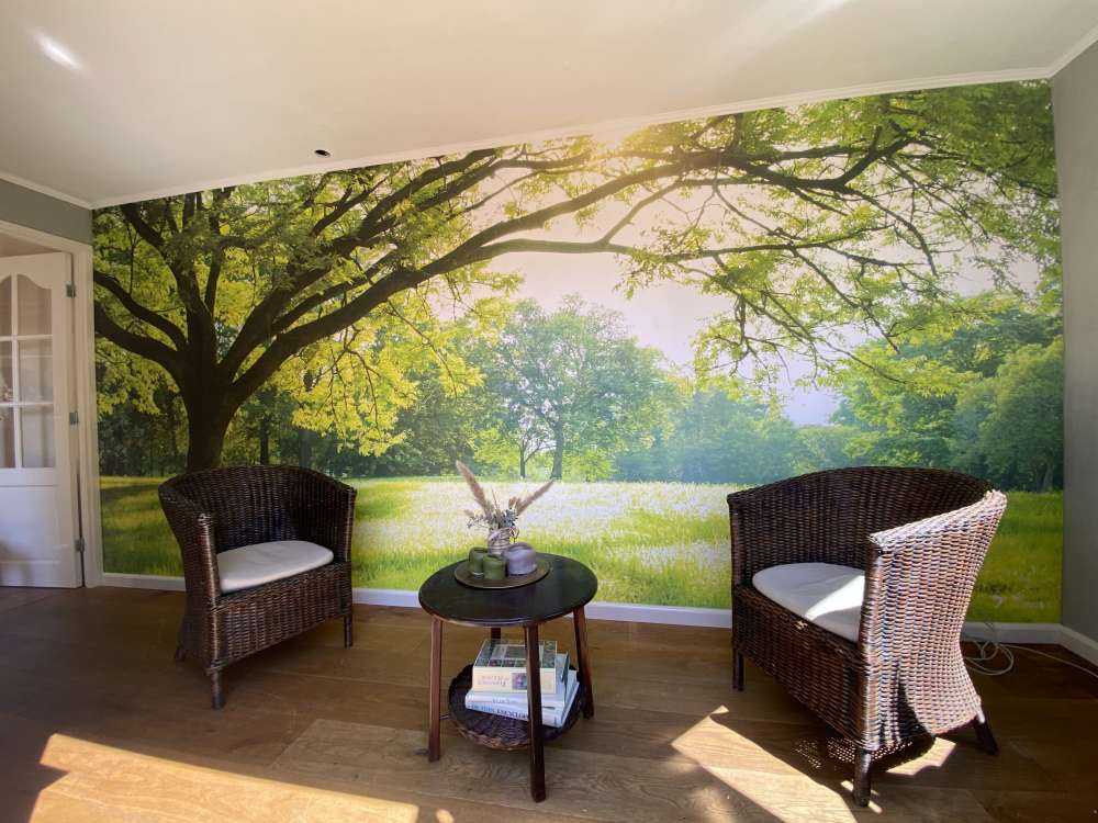 Beautiful tree with green grass