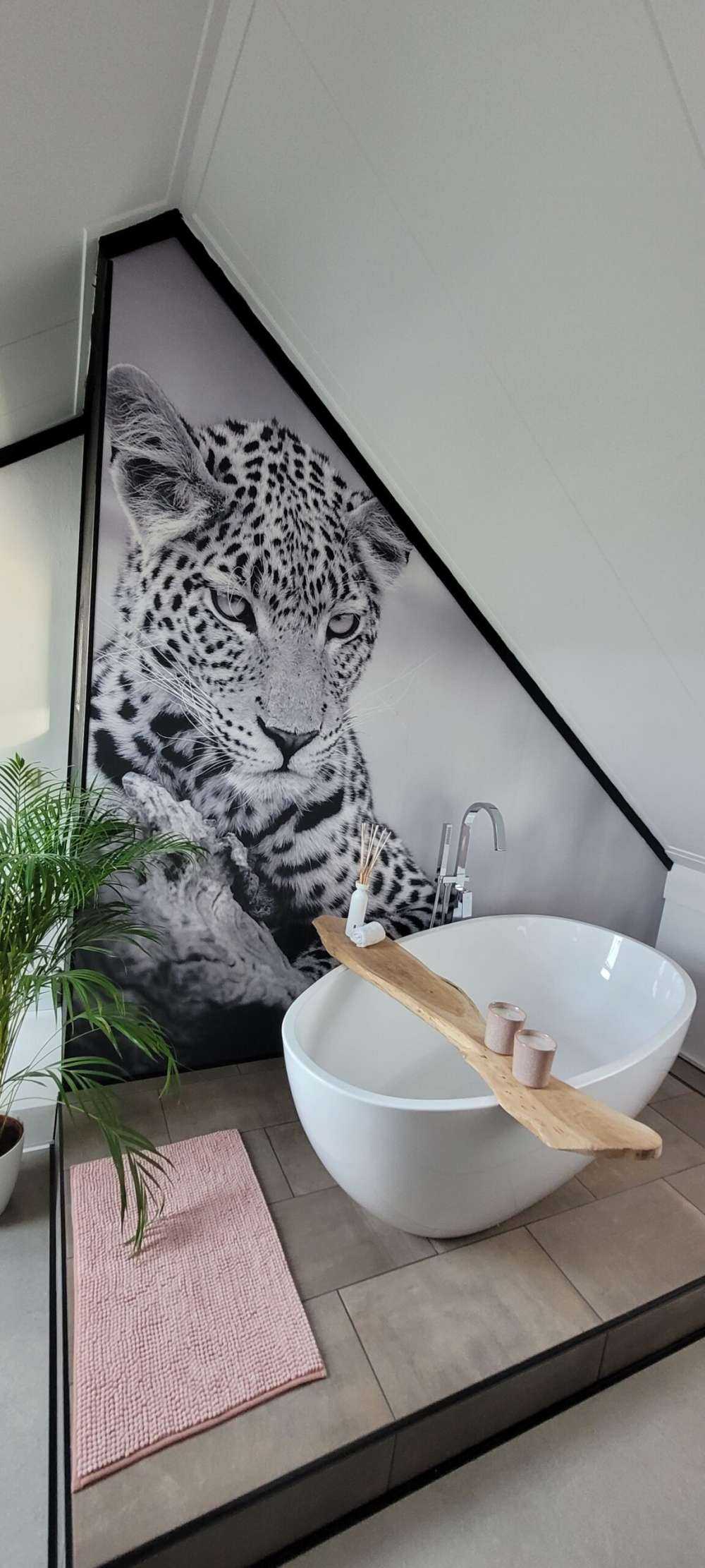 Leopard black, white