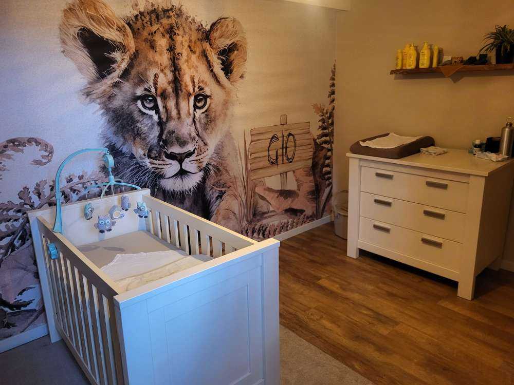 Baby lion in the jungle taupe